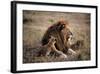 Father Knows Best-Art Wolfe-Framed Art Print