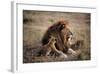 Father Knows Best-Art Wolfe-Framed Art Print