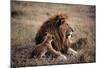 Father Knows Best-Art Wolfe-Mounted Art Print