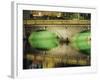 Father Mathew Bridge, Dublin, Ireland-null-Framed Photographic Print