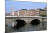 Father Mathey Bridge, Liffey River, Dublin, County Dublin, Eire (Ireland)-Bruno Barbier-Mounted Photographic Print