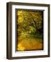 Father of Light-Cristina Carra Caso-Framed Photographic Print