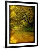 Father of Light-Cristina Carra Caso-Framed Photographic Print