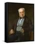 Father of the Artist (Oil on Canvas)-Jules Elie Delaunay-Framed Stretched Canvas