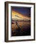 Father Playfully Throwing Son in Water-Barry Winiker-Framed Photographic Print