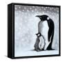 Father & Son-Paul Powis-Framed Stretched Canvas