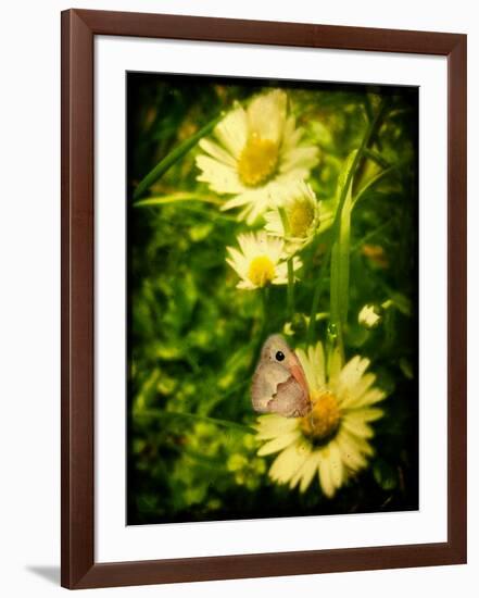 Father-Cristina Carra Caso-Framed Photographic Print