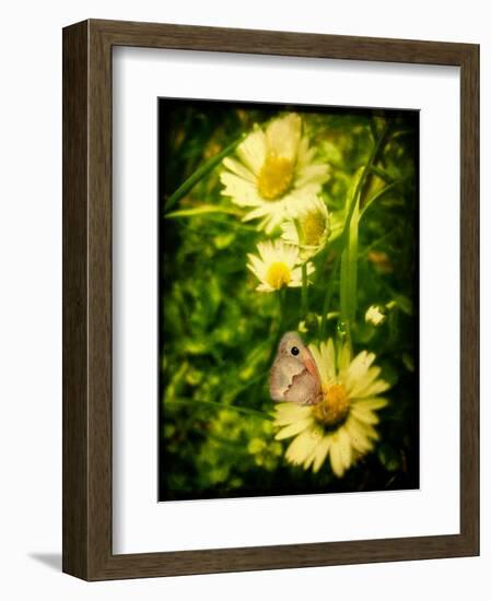 Father-Cristina Carra Caso-Framed Photographic Print