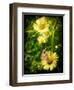 Father-Cristina Carra Caso-Framed Photographic Print