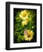 Father-Cristina Carra Caso-Framed Photographic Print