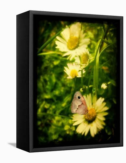 Father-Cristina Carra Caso-Framed Stretched Canvas