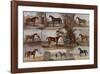 Fathers of the Turf, 1683-1822-John Beer-Framed Premium Giclee Print