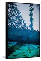 Fathoms Below-Valda Bailey-Framed Stretched Canvas