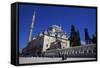 Fatih Mosque, Istanbul, Turkey, Europe-Neil Farrin-Framed Stretched Canvas