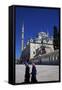 Fatih Mosque, Istanbul, Turkey, Europe-Neil Farrin-Framed Stretched Canvas