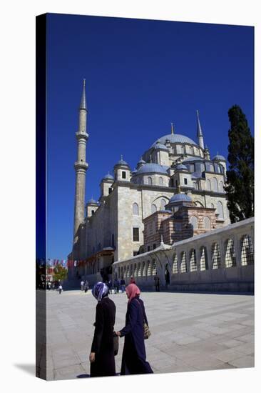 Fatih Mosque, Istanbul, Turkey, Europe-Neil Farrin-Stretched Canvas