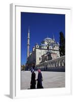 Fatih Mosque, Istanbul, Turkey, Europe-Neil Farrin-Framed Photographic Print