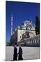 Fatih Mosque, Istanbul, Turkey, Europe-Neil Farrin-Mounted Photographic Print