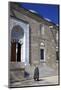 Fatih Mosque, Istanbul, Turkey, Europe-Neil Farrin-Mounted Photographic Print