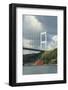 Fatih Sultan Mehmet Bridge-Guido Cozzi-Framed Photographic Print