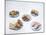 Fattening Foods-null-Mounted Photographic Print