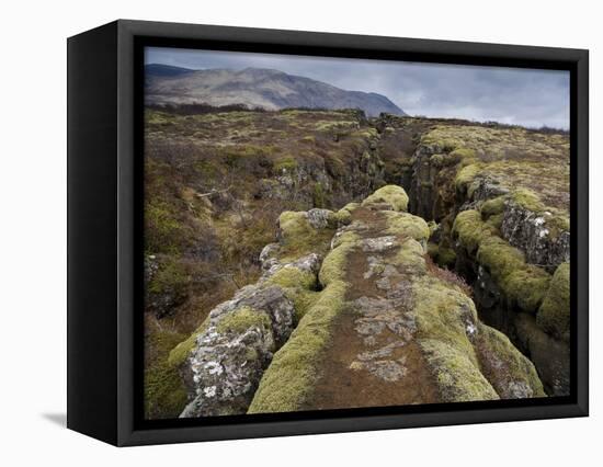 Fault in the Landscape at Thingvellir National Park Near Reykjavik, Iceland-Lee Frost-Framed Stretched Canvas