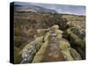 Fault in the Landscape at Thingvellir National Park Near Reykjavik, Iceland-Lee Frost-Stretched Canvas