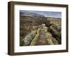 Fault in the Landscape at Thingvellir National Park Near Reykjavik, Iceland-Lee Frost-Framed Photographic Print