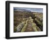 Fault in the Landscape at Thingvellir National Park Near Reykjavik, Iceland-Lee Frost-Framed Photographic Print