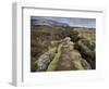 Fault in the Landscape at Thingvellir National Park Near Reykjavik, Iceland-Lee Frost-Framed Photographic Print