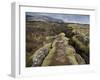 Fault in the Landscape at Thingvellir National Park Near Reykjavik, Iceland-Lee Frost-Framed Photographic Print