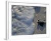 Fauna, Sea turtles, Yucatan, Mexico-Kenneth Garrett-Framed Photographic Print