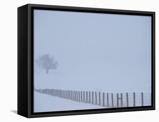 Fauquier County, Virginia, USA-Kenneth Garrett-Framed Stretched Canvas