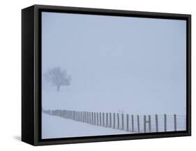 Fauquier County, Virginia, USA-Kenneth Garrett-Framed Stretched Canvas