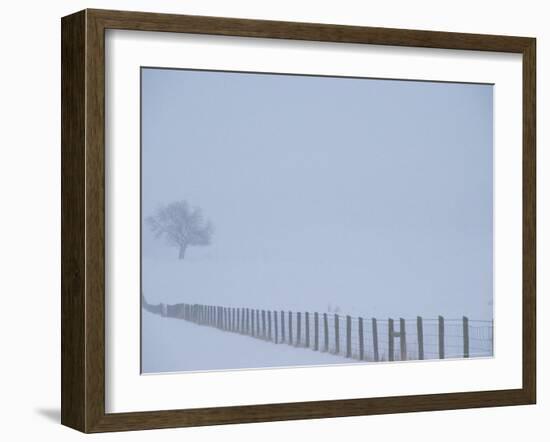 Fauquier County, Virginia, USA-Kenneth Garrett-Framed Photographic Print