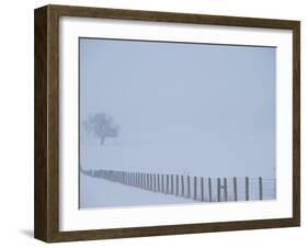 Fauquier County, Virginia, USA-Kenneth Garrett-Framed Photographic Print