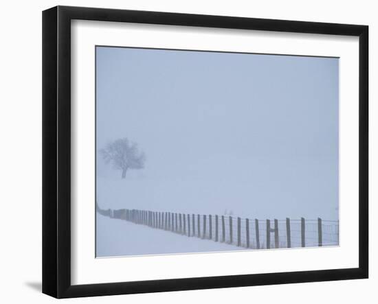 Fauquier County, Virginia, USA-Kenneth Garrett-Framed Photographic Print