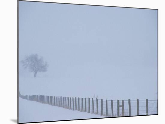 Fauquier County, Virginia, USA-Kenneth Garrett-Mounted Photographic Print