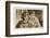 Faust,Marguerite on Film-null-Framed Photographic Print