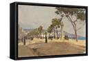 Canvas Black