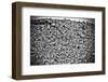 Favela Village in El Alto, La Paz, Bolivia-Joel Alvarez-Framed Photographic Print