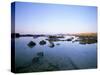 Favignana Island, Egadi Islands, Sicily, Italy, Mediterranean-Oliviero Olivieri-Stretched Canvas