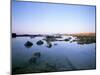 Favignana Island, Egadi Islands, Sicily, Italy, Mediterranean-Oliviero Olivieri-Mounted Photographic Print