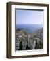 Favignana Island, Egadi Islands, Sicily, Italy, Mediterranean-Oliviero Olivieri-Framed Photographic Print