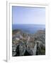 Favignana Island, Egadi Islands, Sicily, Italy, Mediterranean-Oliviero Olivieri-Framed Photographic Print