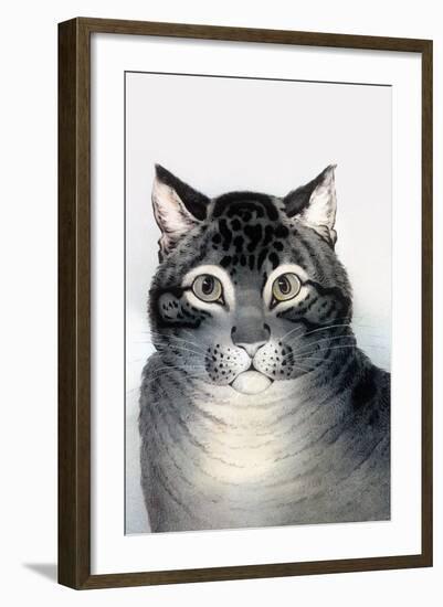 Favorite Cat-Currier & Ives-Framed Art Print