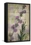 Favorite Flowers I-John Butler-Framed Stretched Canvas