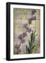 Favorite Flowers I-John Butler-Framed Art Print