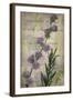 Favorite Flowers I-John Butler-Framed Art Print