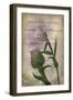 Favorite Flowers II-John Butler-Framed Art Print